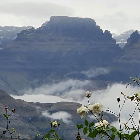 Inkungu Lodge Champagne Valley 外观 照片