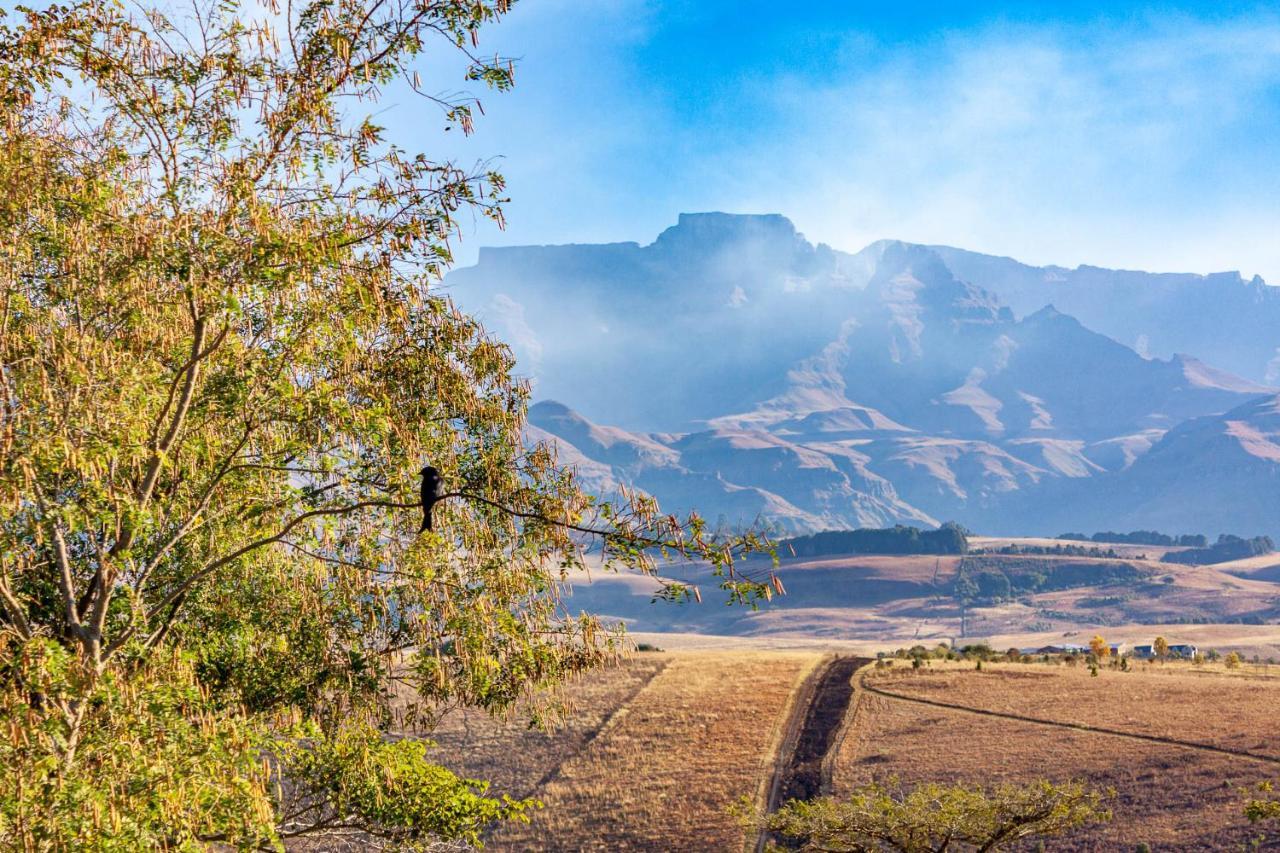 Inkungu Lodge Champagne Valley 外观 照片