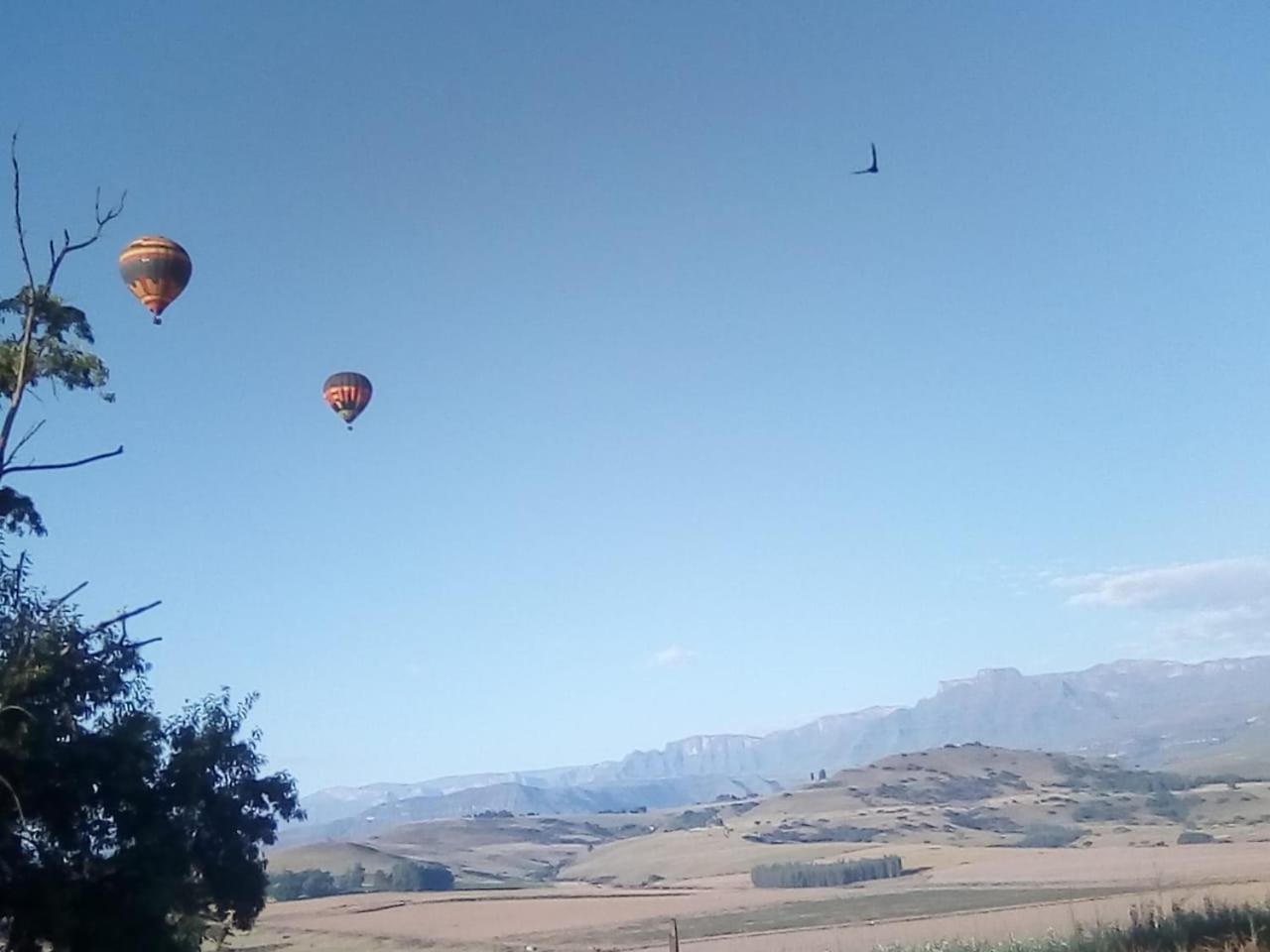 Inkungu Lodge Champagne Valley 外观 照片
